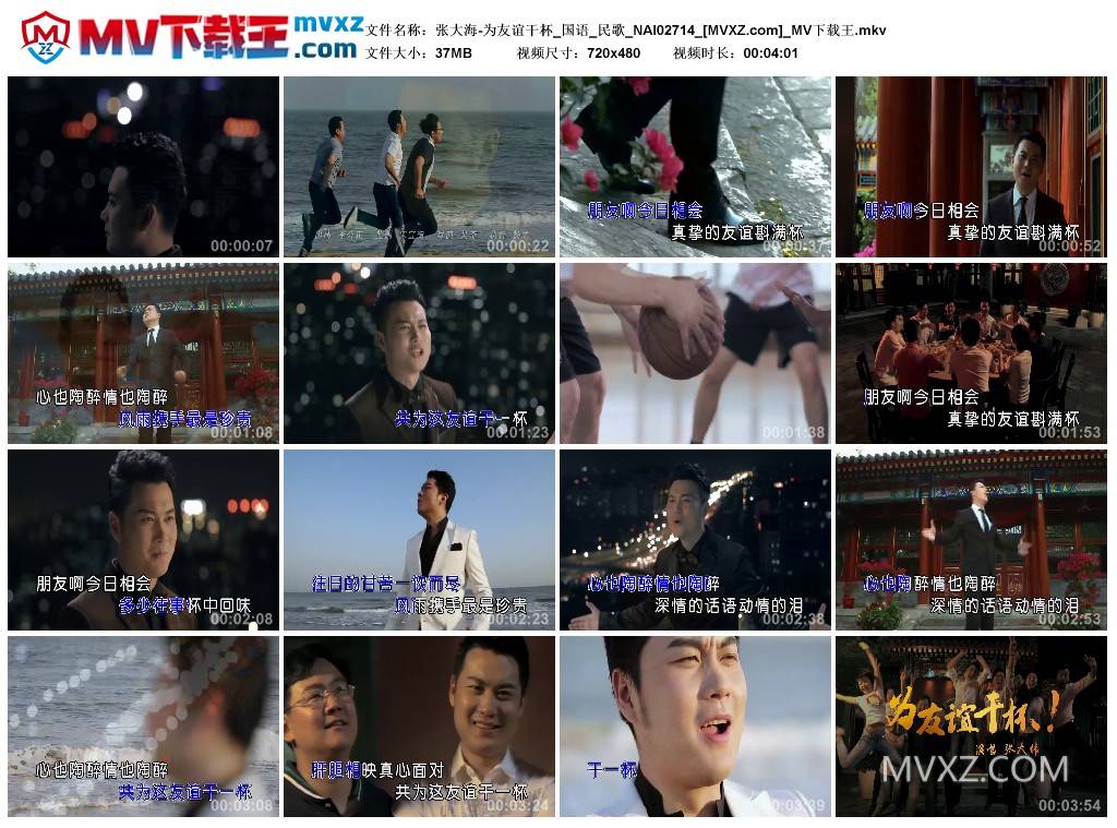 张大海-为友谊干杯_国语_民歌_NAI02714